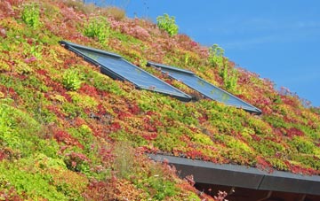 Kirkby Malzeard living roof systems