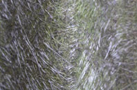 Kirkby Malzeard fibreglass roof work